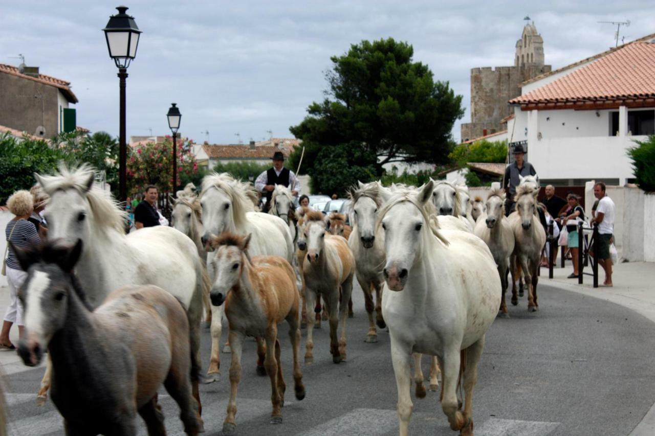 Hotel Le Neptune En Camargue Saintes-Maries-de-la-Mer Bagian luar foto