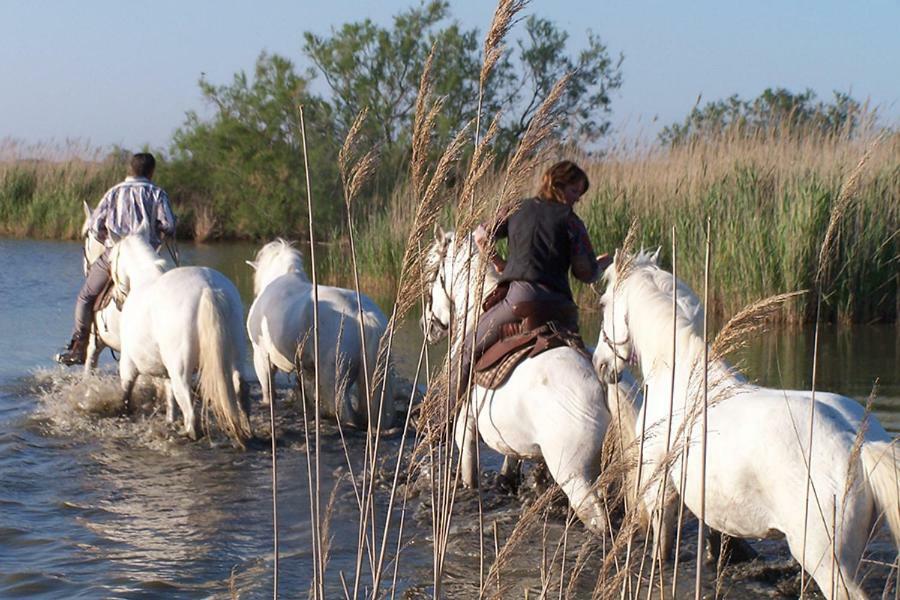 Hotel Le Neptune En Camargue Saintes-Maries-de-la-Mer Bagian luar foto