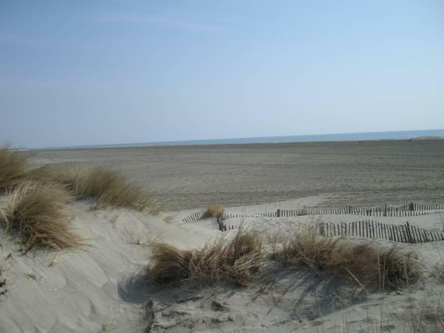 Hotel Le Neptune En Camargue Saintes-Maries-de-la-Mer Bagian luar foto